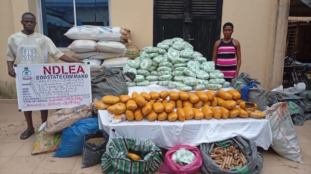 NDLEA Busts Cross-Border Drug Network, Seizes Millions